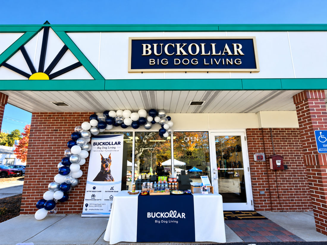 BUCKOLLAR Opens Its Doors in Acton, Massachusetts