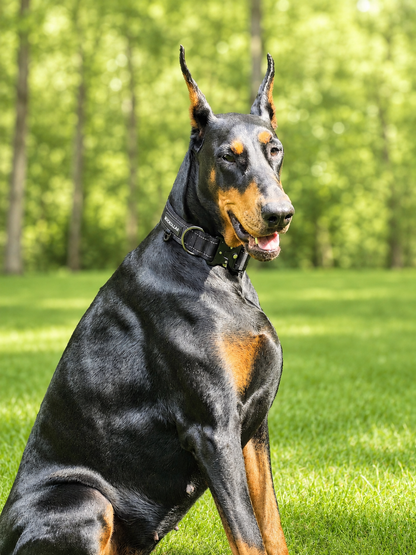 Tactical Dog Collar