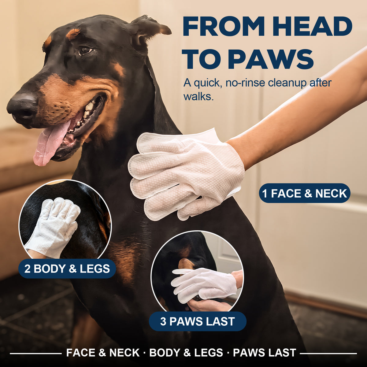 After-Walk Pet Cleaning Gloves — 36 Gloves · 6 Packs