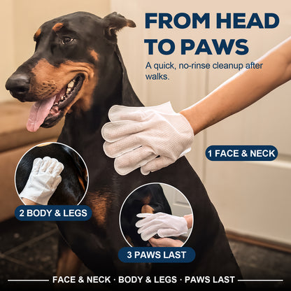 After-Walk Pet Cleaning Gloves — 36 Gloves · 6 Packs