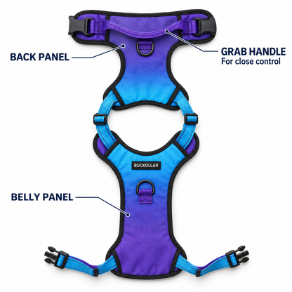 BUCKOLLAR Everyday Dog Harness — Sky Blue Gradient