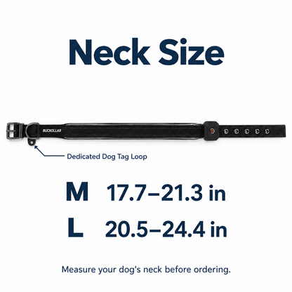 BUCKOLLAR Rechargeable LED Dog Collar with Mesh Organizer
