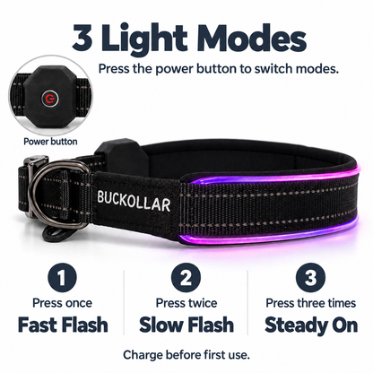 BUCKOLLAR Rechargeable LED Dog Collar with Mesh Organizer