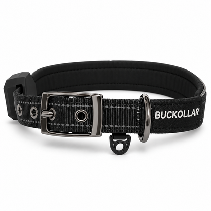 BUCKOLLAR Rechargeable LED Dog Collar with Mesh Organizer