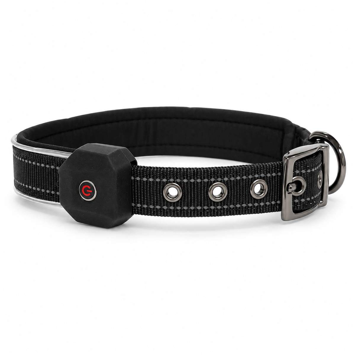 BUCKOLLAR Rechargeable LED Dog Collar with Mesh Organizer