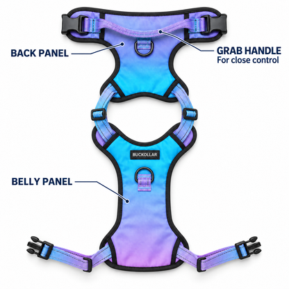 BUCKOLLAR Everyday Dog Harness — Pink & Lilac Gradient