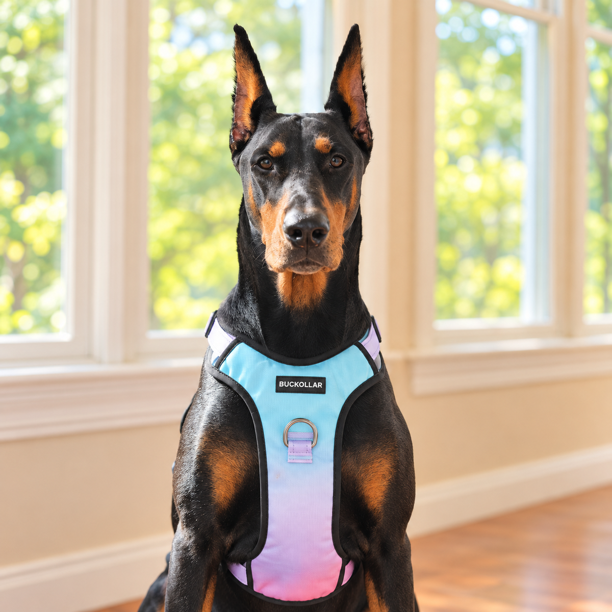 BUCKOLLAR Everyday Dog Harness — Pink & Lilac Gradient