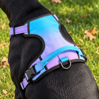 BUCKOLLAR Everyday Dog Harness — Pink & Lilac Gradient