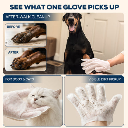 After-Walk Pet Cleaning Gloves — 36 Gloves · 6 Packs