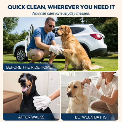 After-Walk Pet Cleaning Gloves — 36 Gloves · 6 Packs