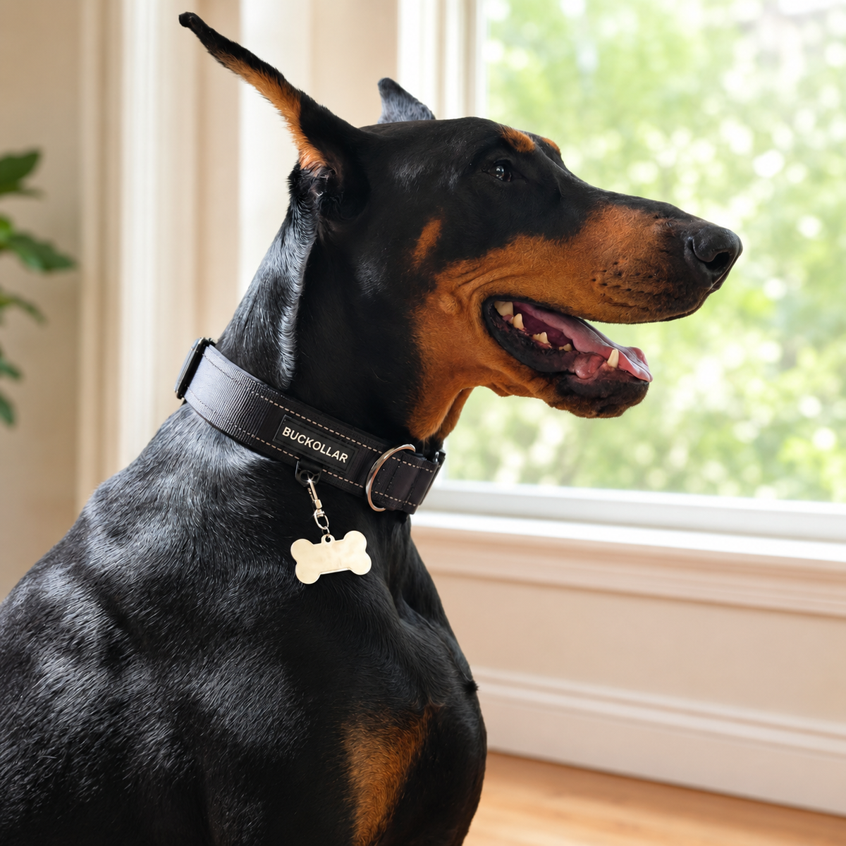 Custom Dog ID Tag