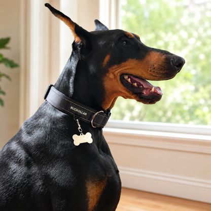 Custom Dog ID Tag
