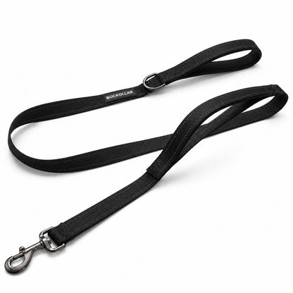 Dual-Handle Dog Leash