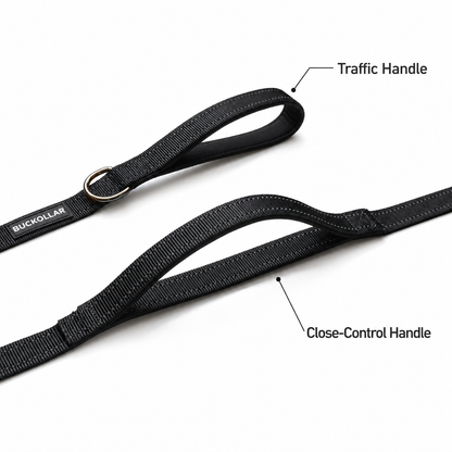 Dual-Handle Dog Leash