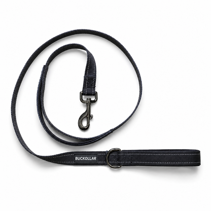 Dual-Handle Dog Leash