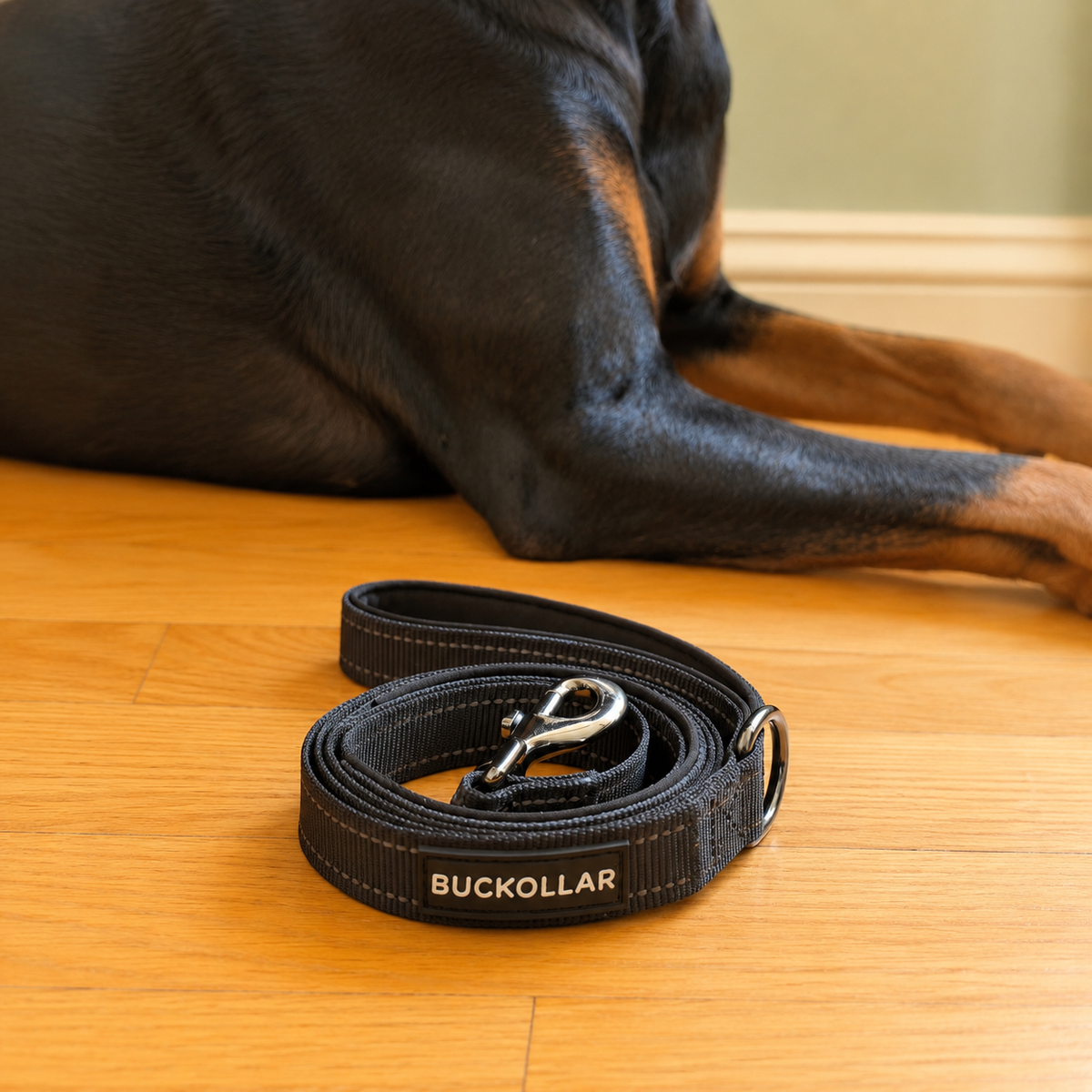 Dual-Handle Dog Leash
