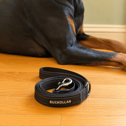Dual-Handle Dog Leash