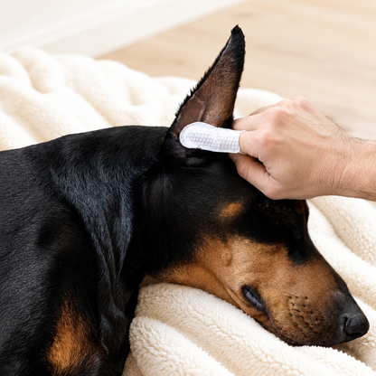 Ear Care Pads