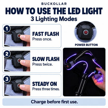 BUCKOLLAR LED Dog Harness