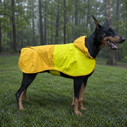 BUCKOLLAR Large Dog raincoat