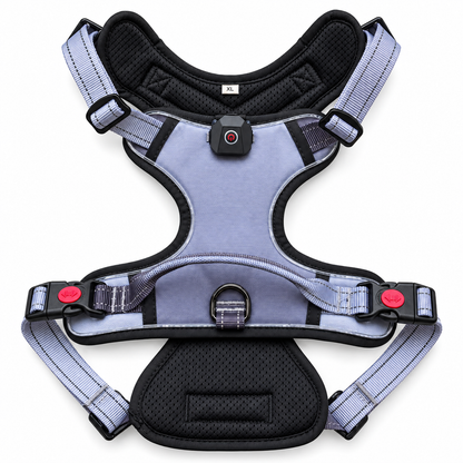 BUCKOLLAR LED Dog Harness