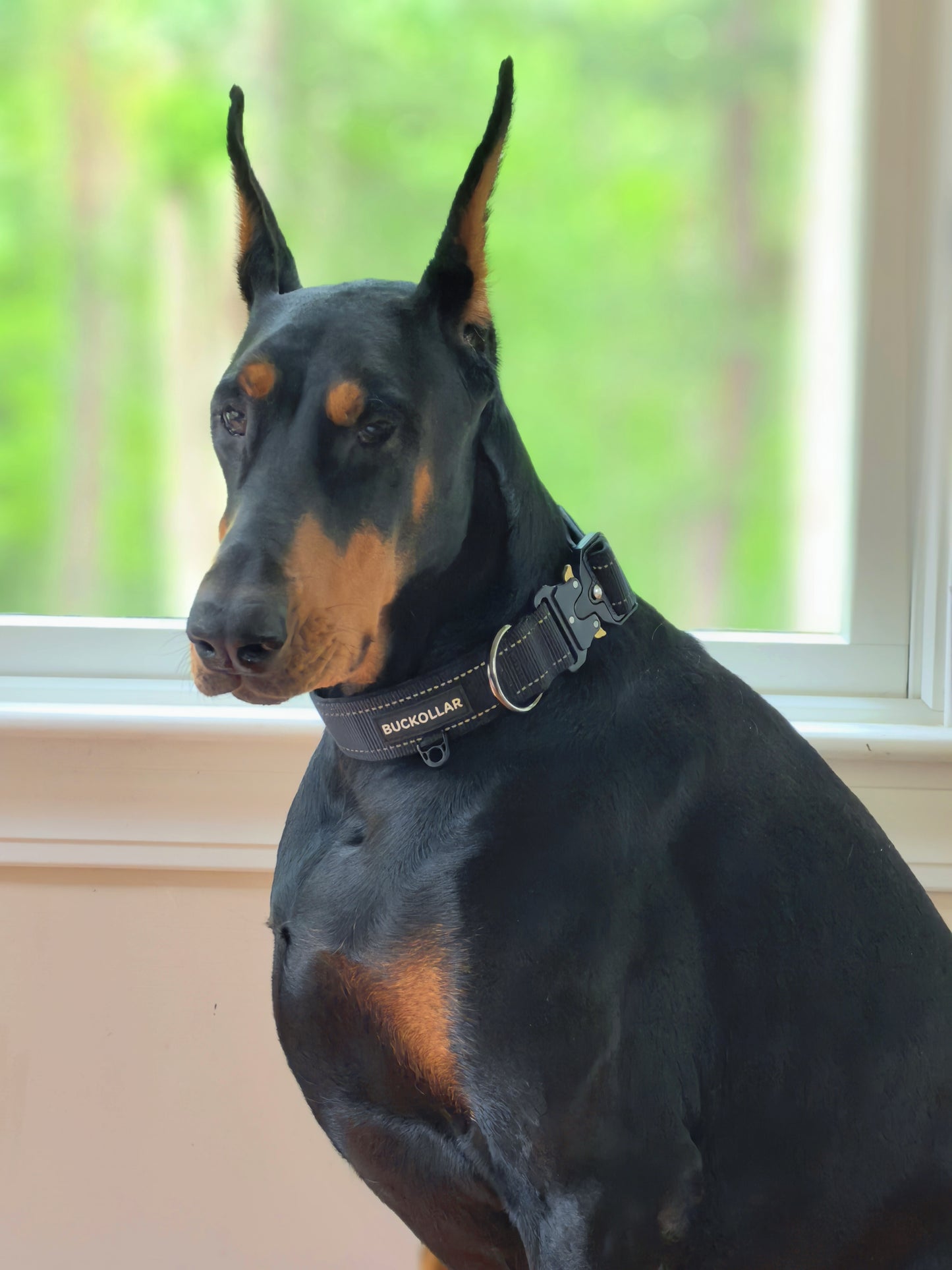 Tactical Dog Collar