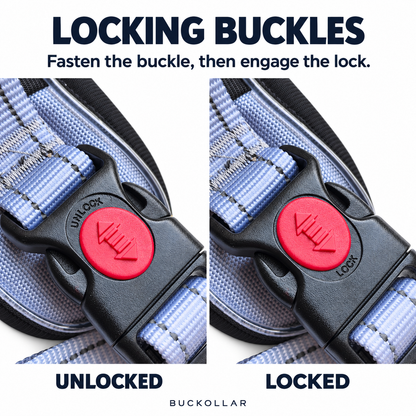 BUCKOLLAR LED Dog Harness