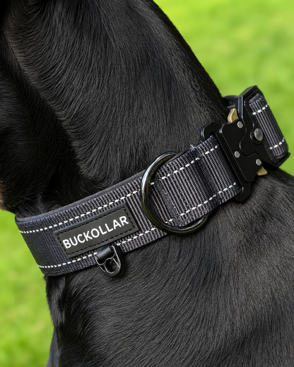 Tactical Dog Collar
