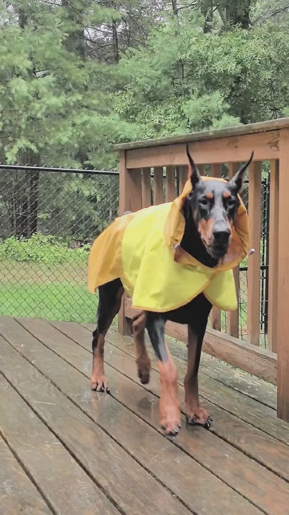 BUCKOLLAR Large Dog raincoat